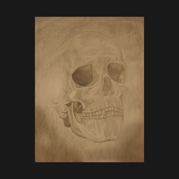 Skull by Sam_Gs_Art