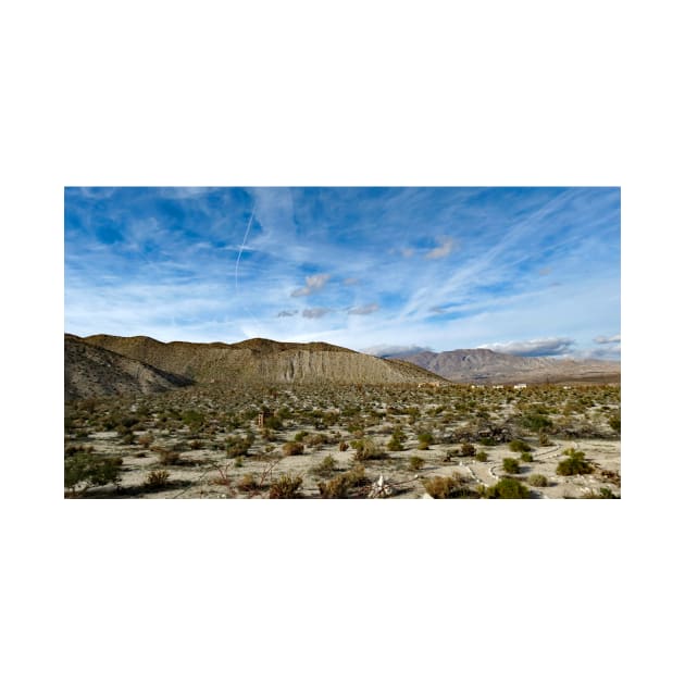 Anza Borrego Desert State Park by supernova23