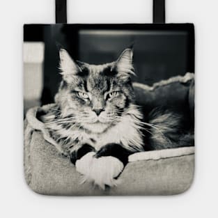 Cat main coon black and white / Swiss Artwork Photography Tote