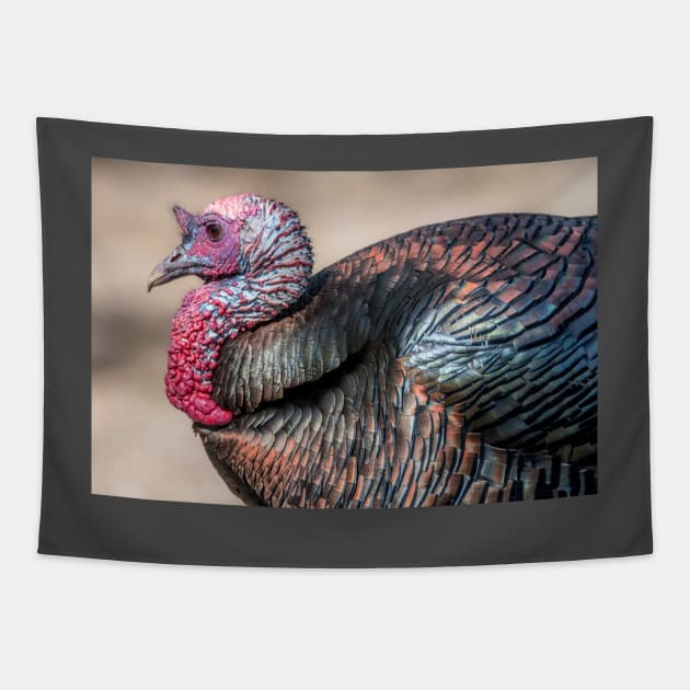 Tom Turkey Profile Tapestry by Debra Martz