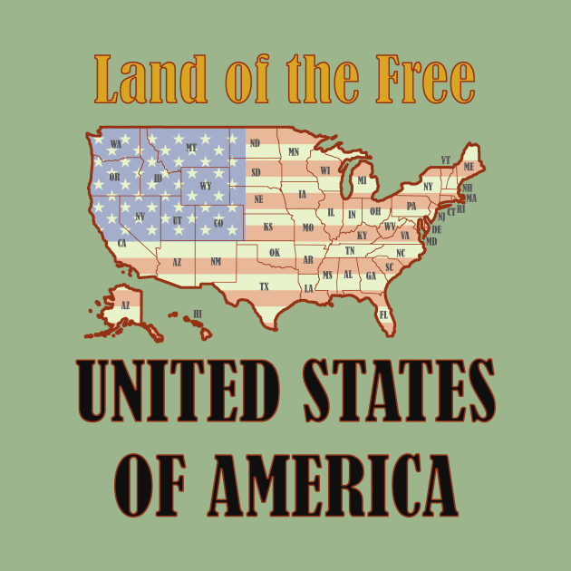 United States of America USA + Flag by Pr0metheus