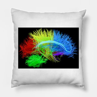 Human brain nerve tracts, illustration, (F035/7627) Pillow