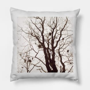 Crows Pillow