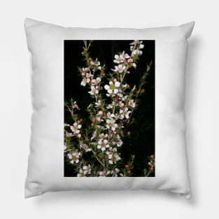 Tea Tree Blossom Pillow