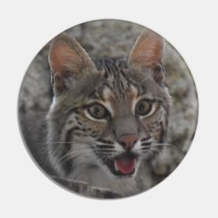 Bobcat Pin