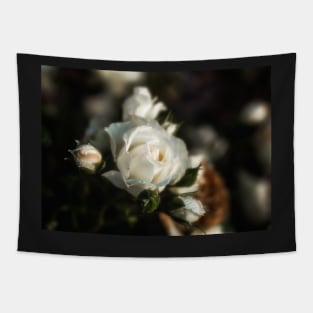 White Flower on a Dark Bokeh Background Tapestry