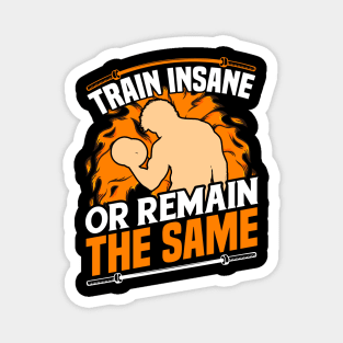 Train insane Magnet