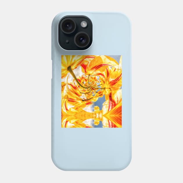 Equinox Phone Case by LibrosBOOKtique