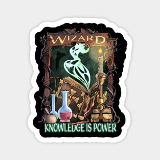 Wizard Knowledge is Power Dragons D20 RPG Gamer Magnet