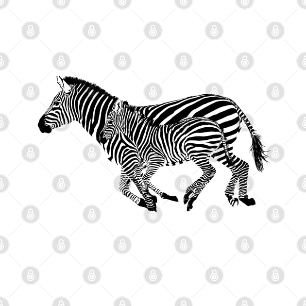 Zebra by sibosssr