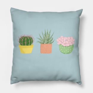 Succulent Pots Illustration Pillow