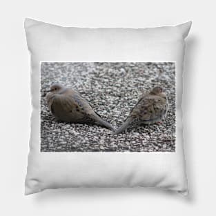 Doves having a Temporary falling Out Pillow