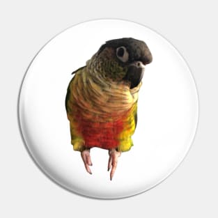 Green Cheek Conure Parrot Bird design, Love for birds Pin