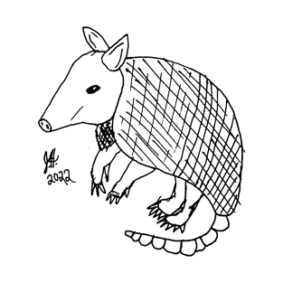 Armadillo Sketch T-Shirt