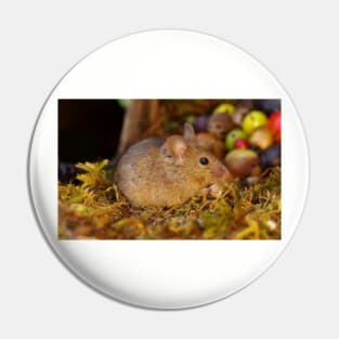 Wild  cute garden house  mouse Pin