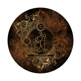 Zodiac - Copper - Aquarius T-Shirt