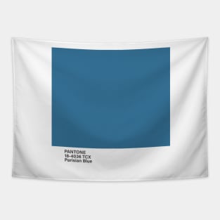 pantone 18-4036 TCX Parisian Blue Tapestry