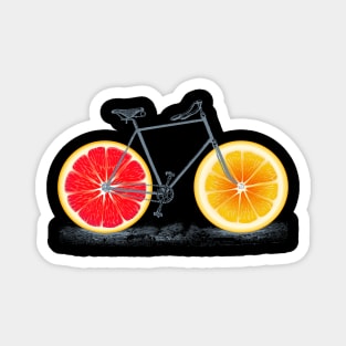 Vintage Orange Old Bike with Retro Cycle Frame Magnet