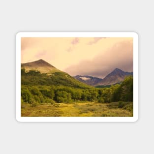 Patagonia heathland in Ushuaia Magnet