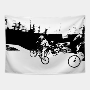 bmx Tapestry