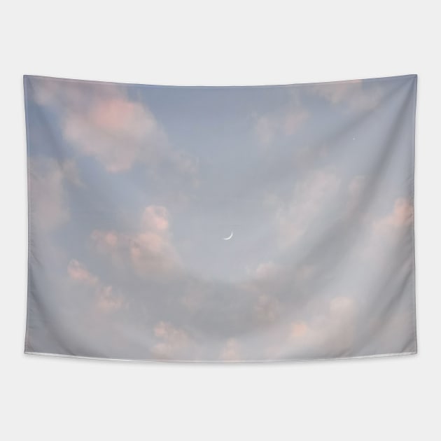 pastel sky Tapestry by giadadee