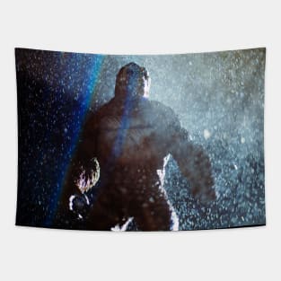 Kong Wants A Fight Tapestry