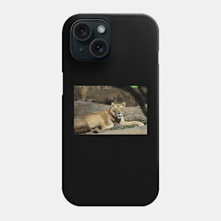 Lioness Phone Case