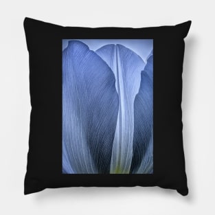 Blue Tulip Close-up Pillow