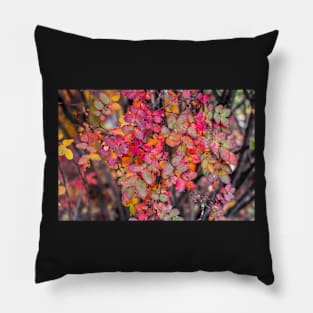 Red yellow orange green dog rose leaves Pillow