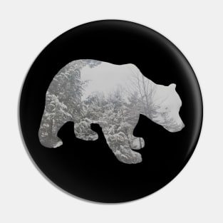 Polar Pin