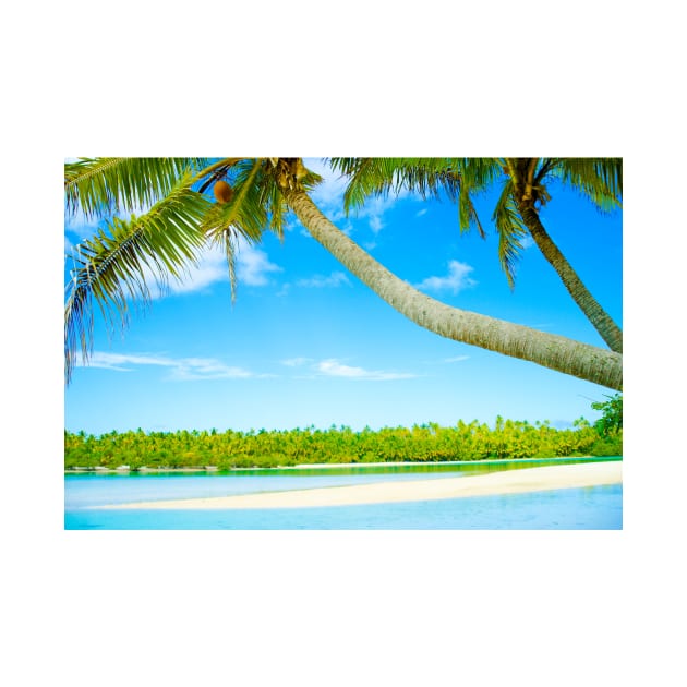 Tropical island lagoon with swinging palms trees by brians101