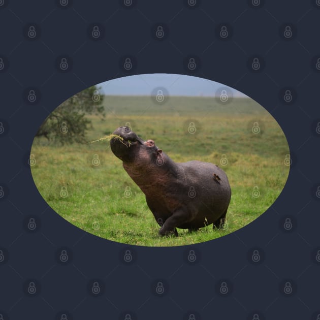 Happy Hippo by Kat Heitzman