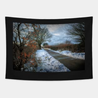 Winter Walk Tapestry