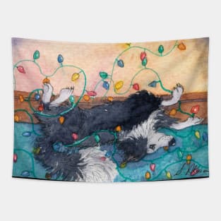 Every year this Border collie dog helped with the lights Tapestry