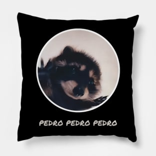 Pedro Raccoon Pillow