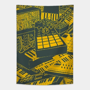 Synthesizers and electronic music instruments for musician Tapestry