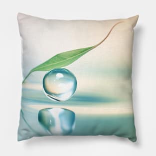 Leaf Water Drop Nature Serene Tranquil Pillow