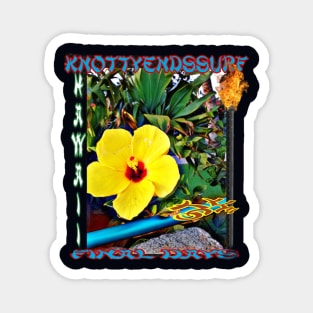 KnottyendsSurf final days Magnet