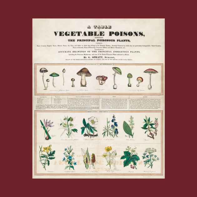Vegetable Poison Educational Chart Poison TShirt TeePublic