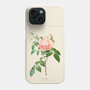 Pink Rose Antique Botanical Illustration Phone Case