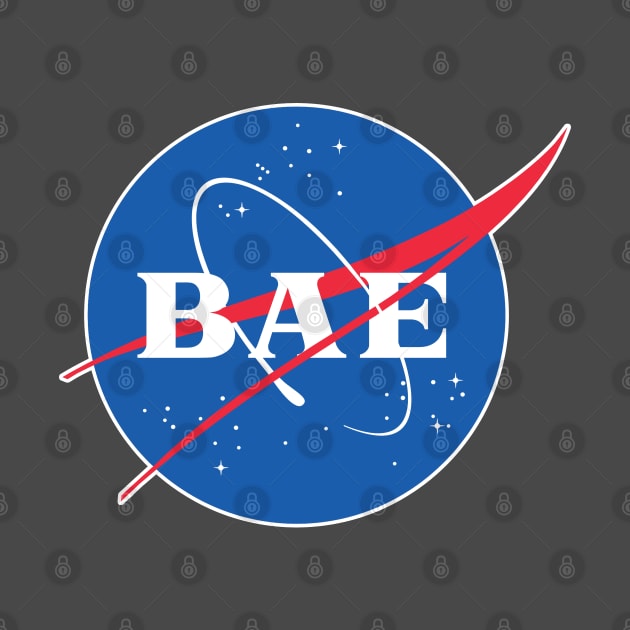 BAE - Nasa Parody Logo Design by DankFutura