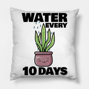 Water Every 10 Days Pillow