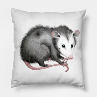 Sweet Possum Pillow