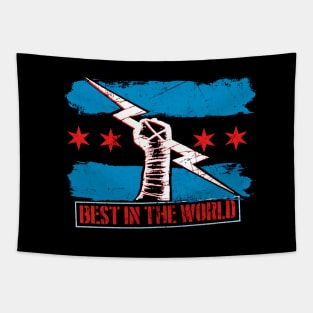 CM PUNK - BEST IN THE WORLD Tapestry