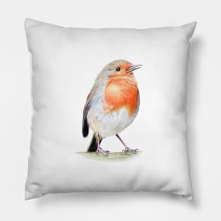 Red Robin Pencil Drawing Pillow