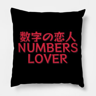 Accountant Funny Lover of Numbers Pillow