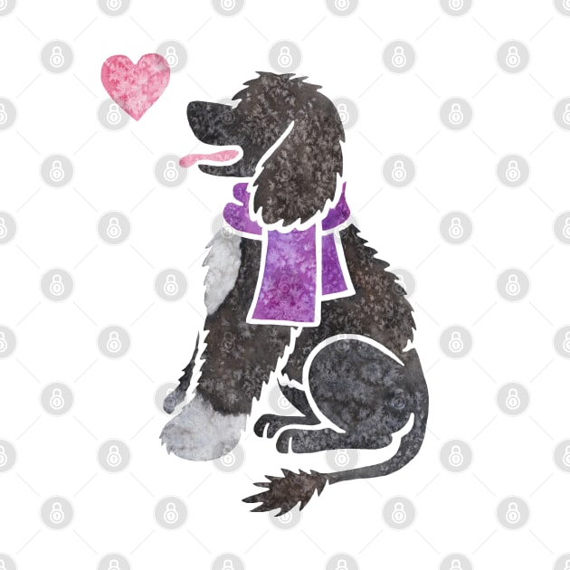 Watercolour Portuguese Water Dog by animalartbyjess