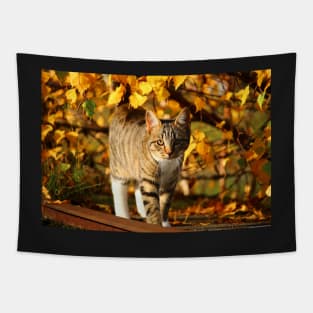 Cat in the Dry Leaves Tapestry