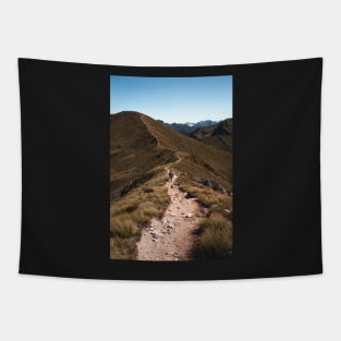 Hiking Mountain Ridge in New Zealand Tapestry