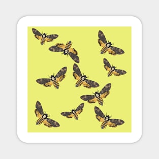 Death's Head Moths Yellow Magnet